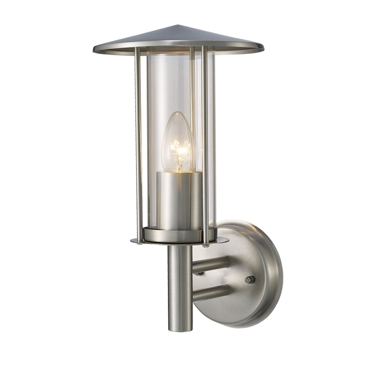 Dalton IP44 Exterior Wall Light in Stainless Steel and Clear Glass Finish
