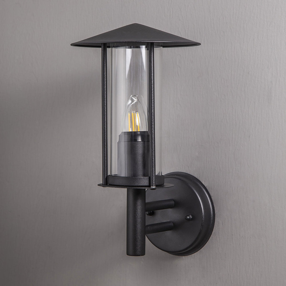 Dalton IP44 Exterior Wall Light in Black and Clear Glass Finish