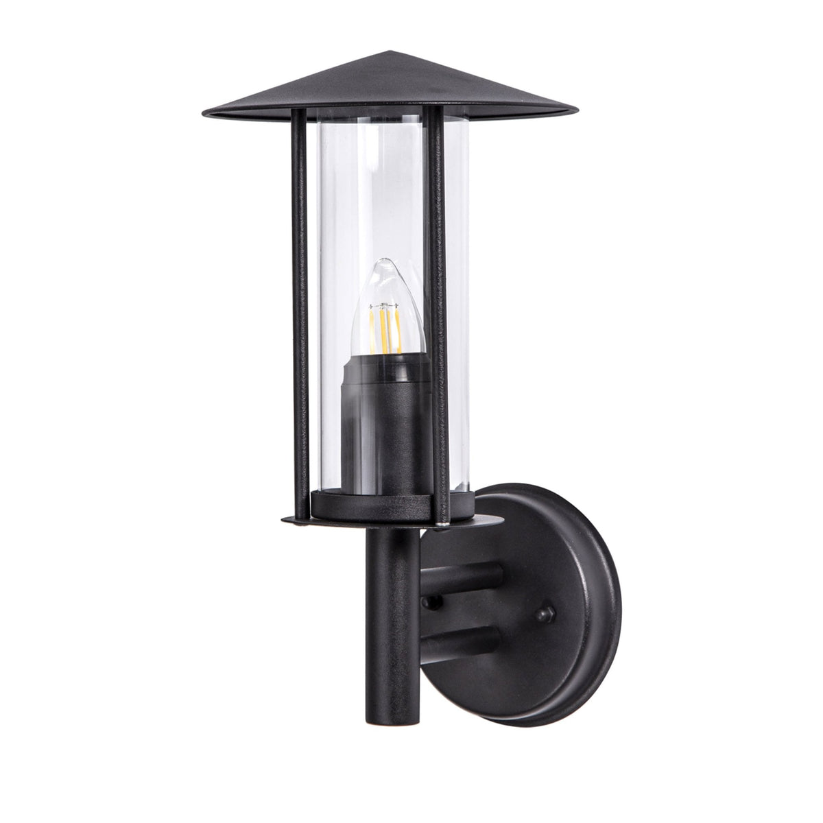 Dalton IP44 Exterior Wall Light in Black and Clear Glass Finish