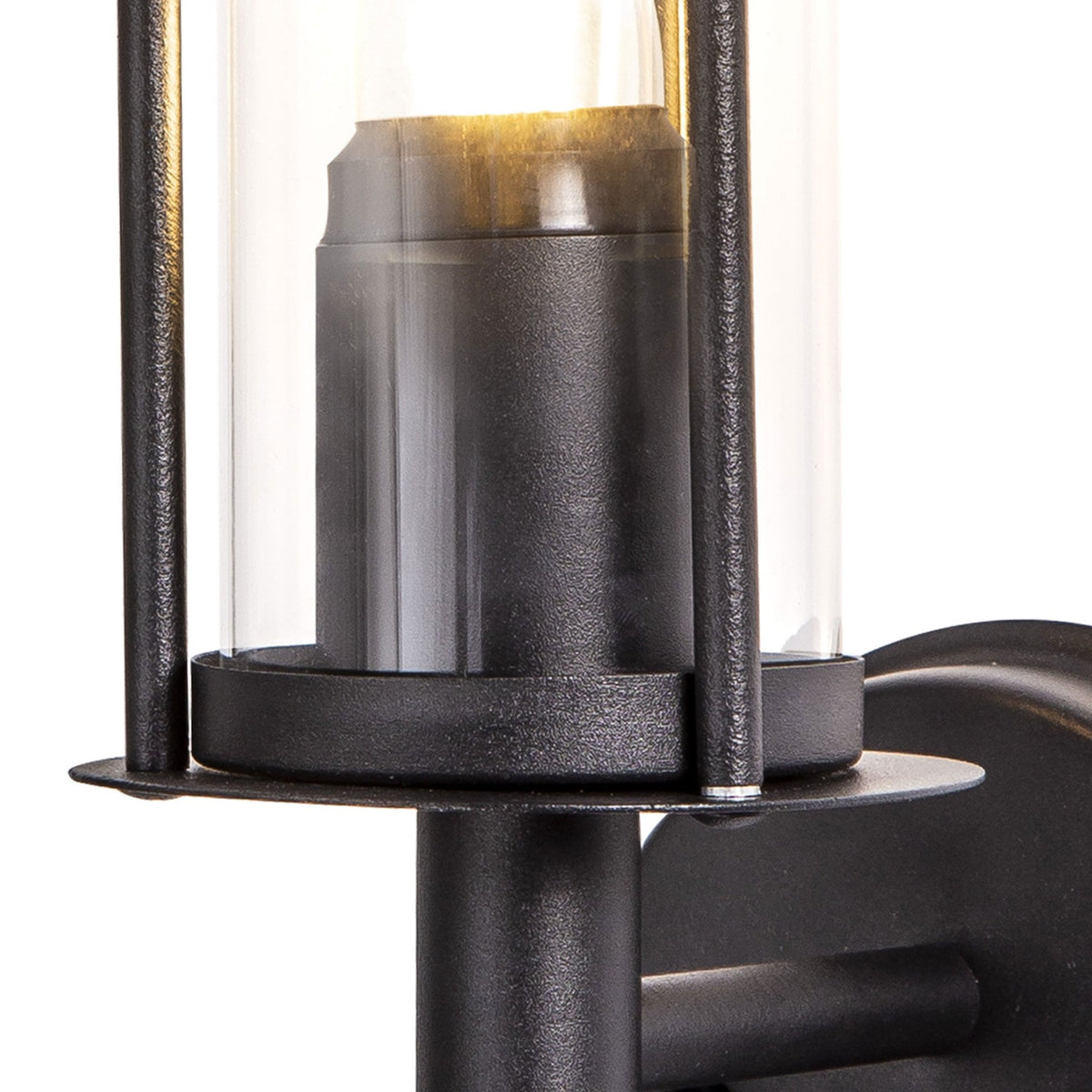 Dalton IP44 Exterior Wall Light in Black and Clear Glass Finish