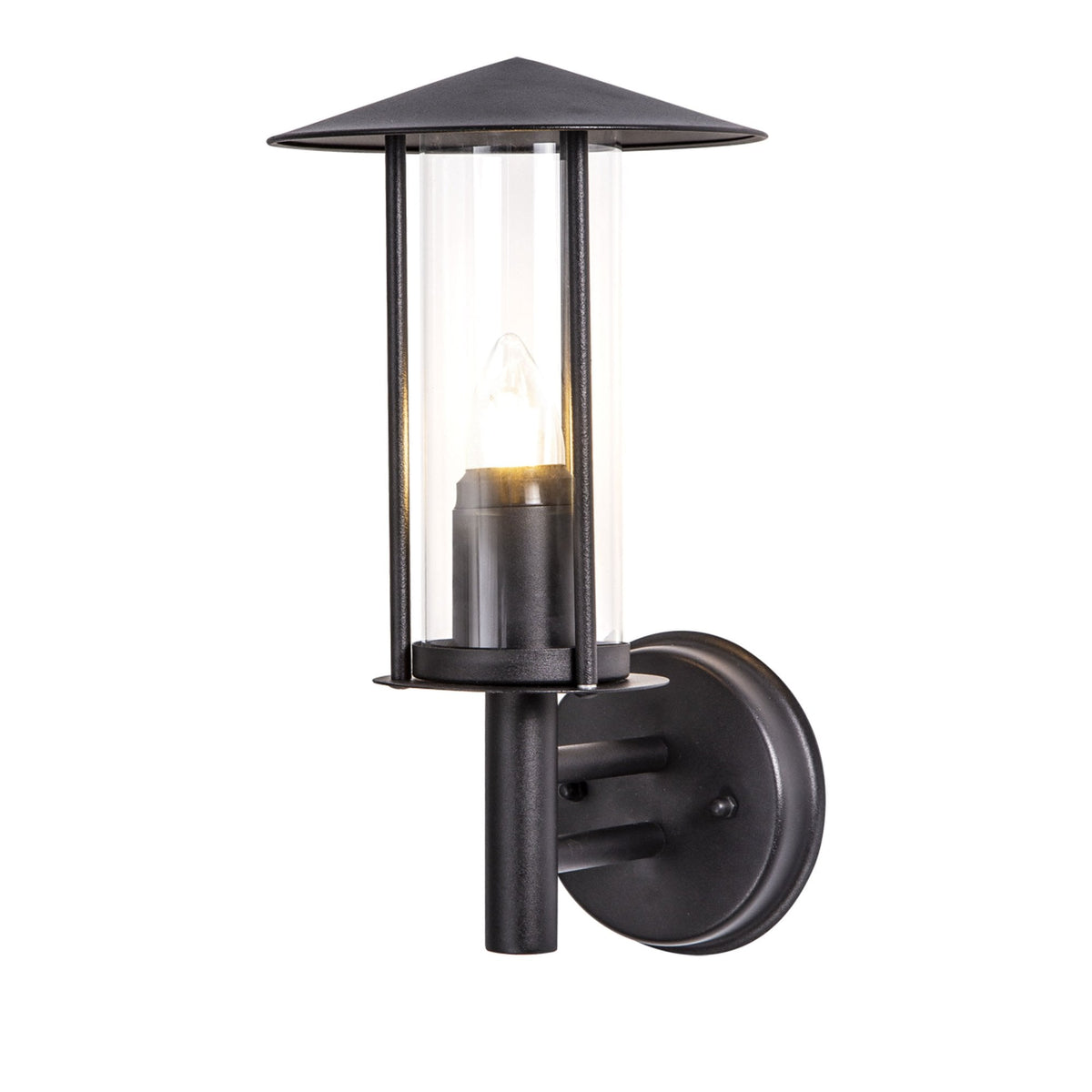 Dalton IP44 Exterior Wall Light in Black and Clear Glass Finish
