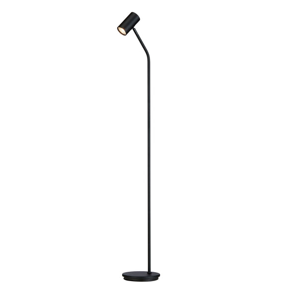Tyson Floor Lamp in Black