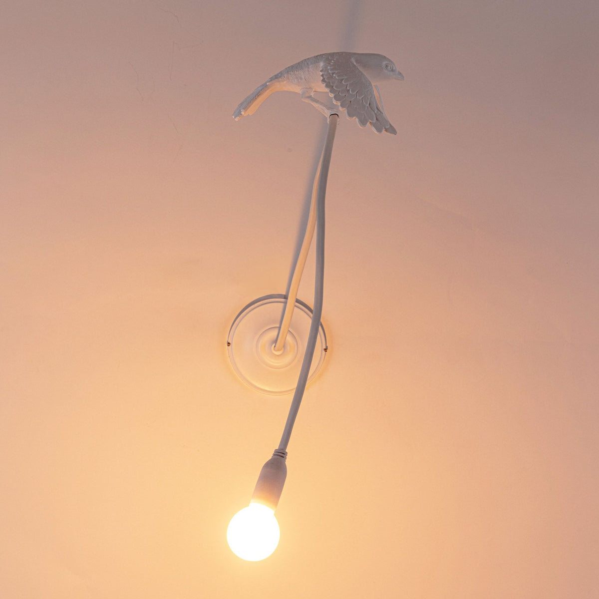 Sparrow Wall Light in White - Taking Off Edition