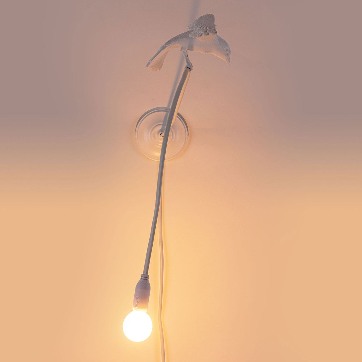 Sparrow Wall Light in White - Cruising Edition