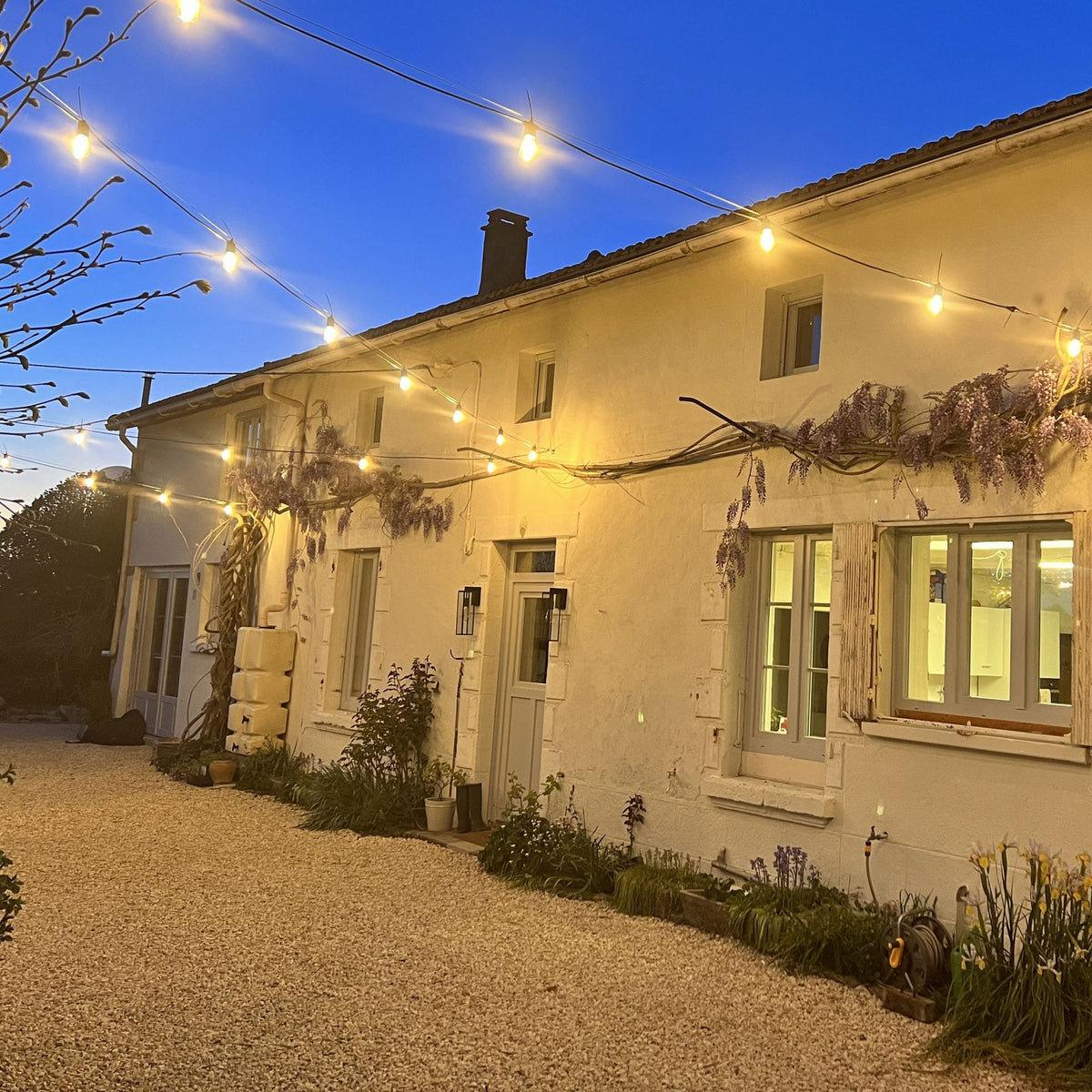 Festival Connect Series E27 IP65 10m Extension Festoon String Light