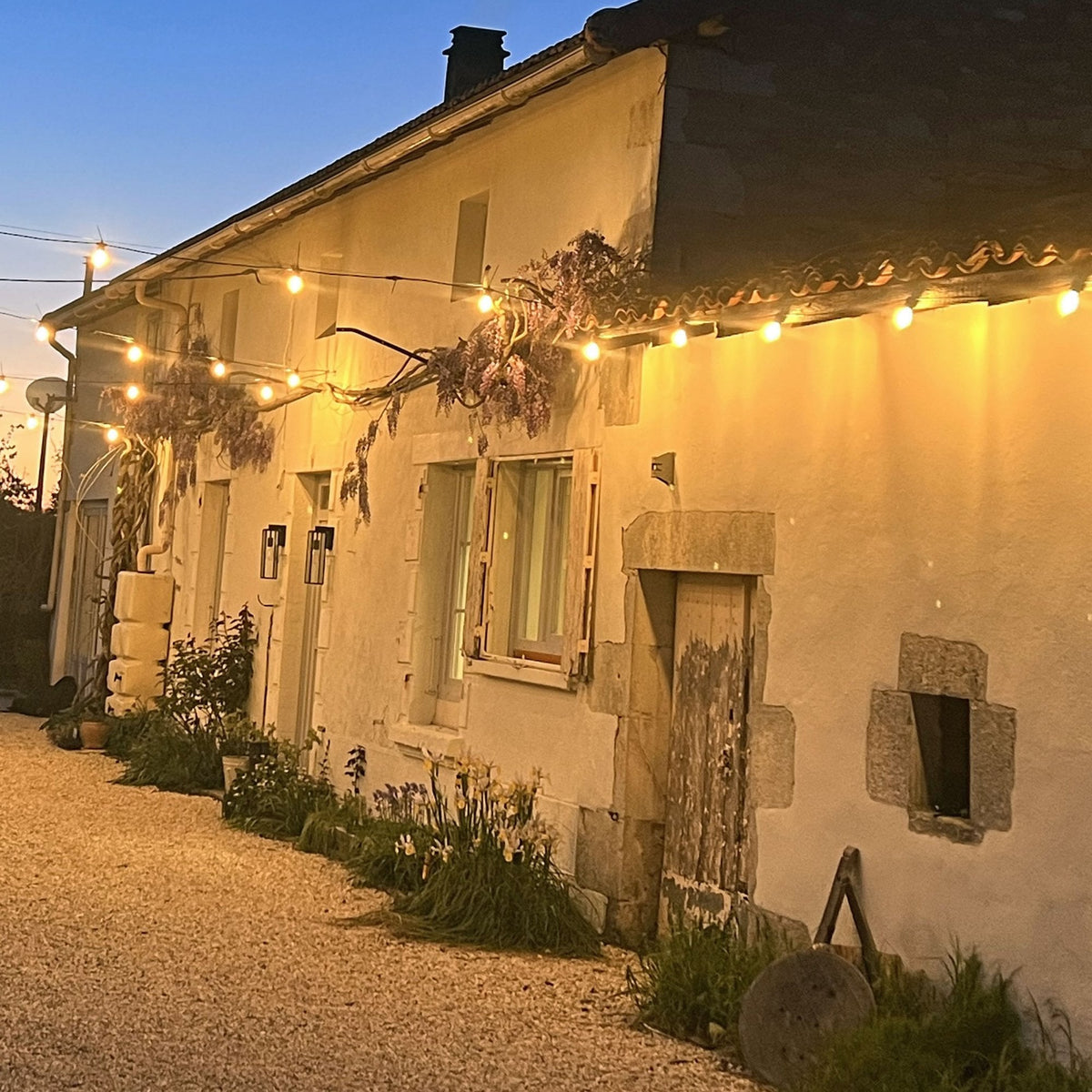 Festival Connect Series IP65 10 Metre Extension Lead