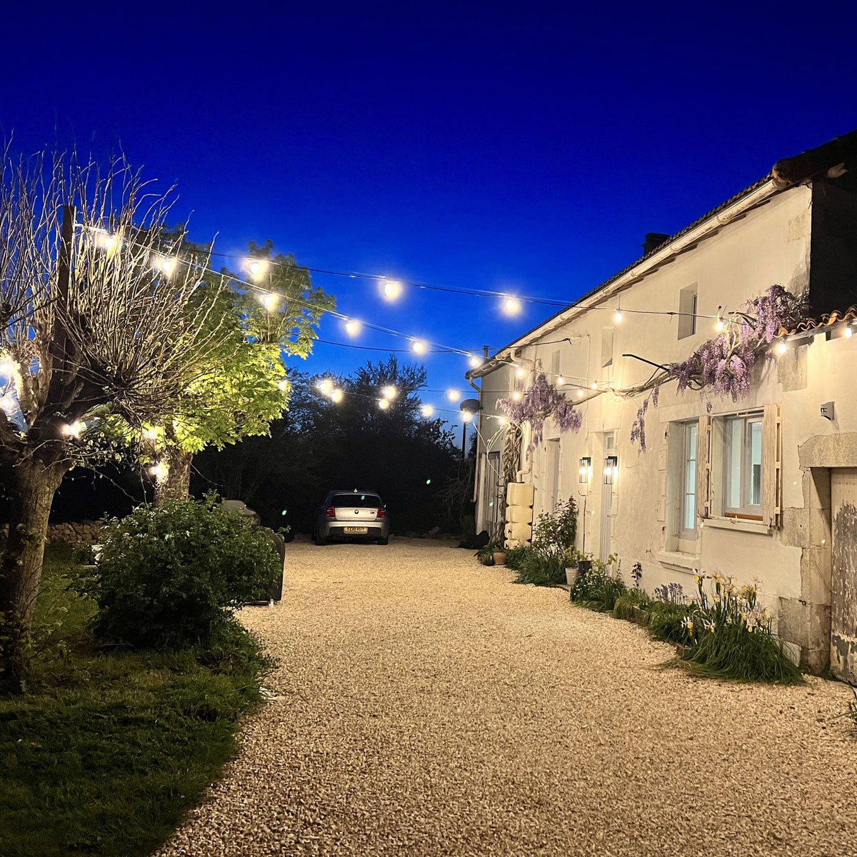 Festival Connect Series E27 IP65 Festoon String Light With Plug