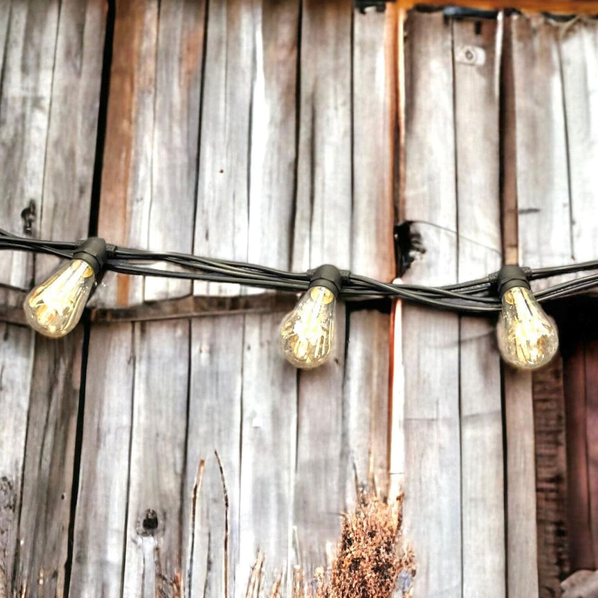 A close up of three warm outdoor festoon lights against a rustic wooden fence.