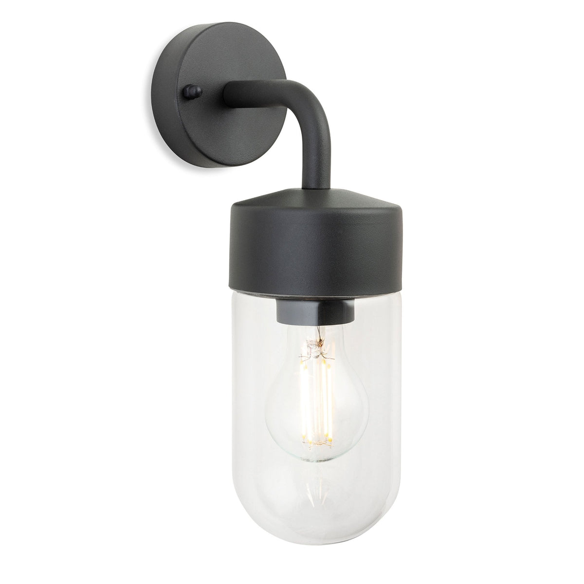 Brisbane IP44 Wall Light in Graphite with Clear Glass