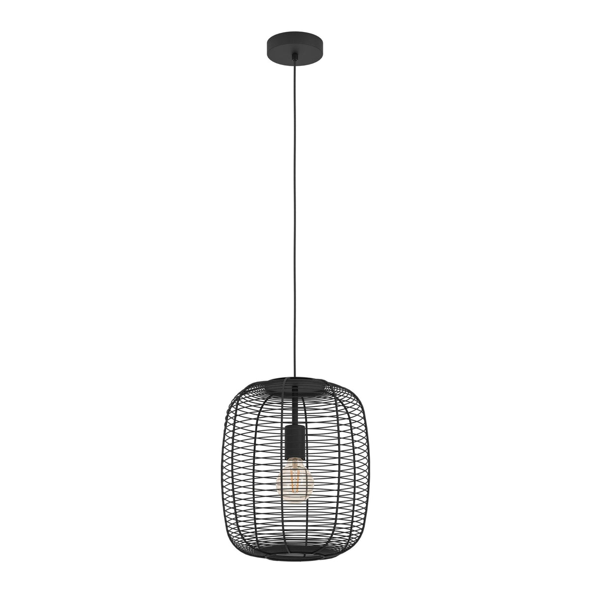 Rinroe Single Pendant with Black Wired-Caged Design Lampshade