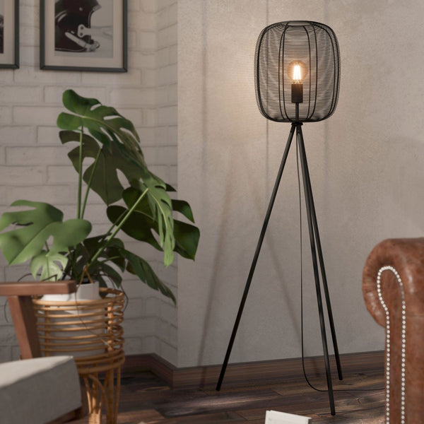 Rinroe Floor Lamp with Black Wired-Caged Design Lampshade