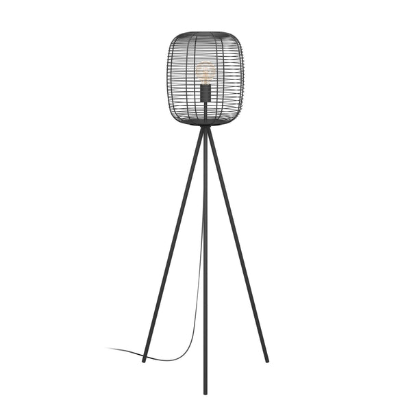 Rinroe Floor Lamp with Black Wired-Caged Design Lampshade