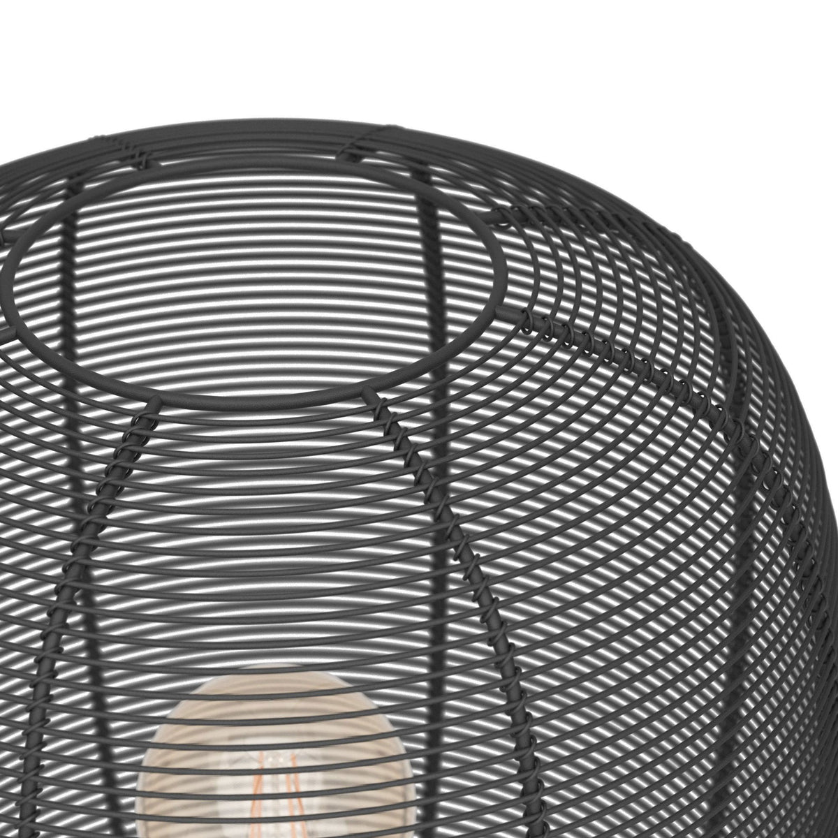 Rinroe Floor Lamp with Black Wired-Caged Design Lampshade