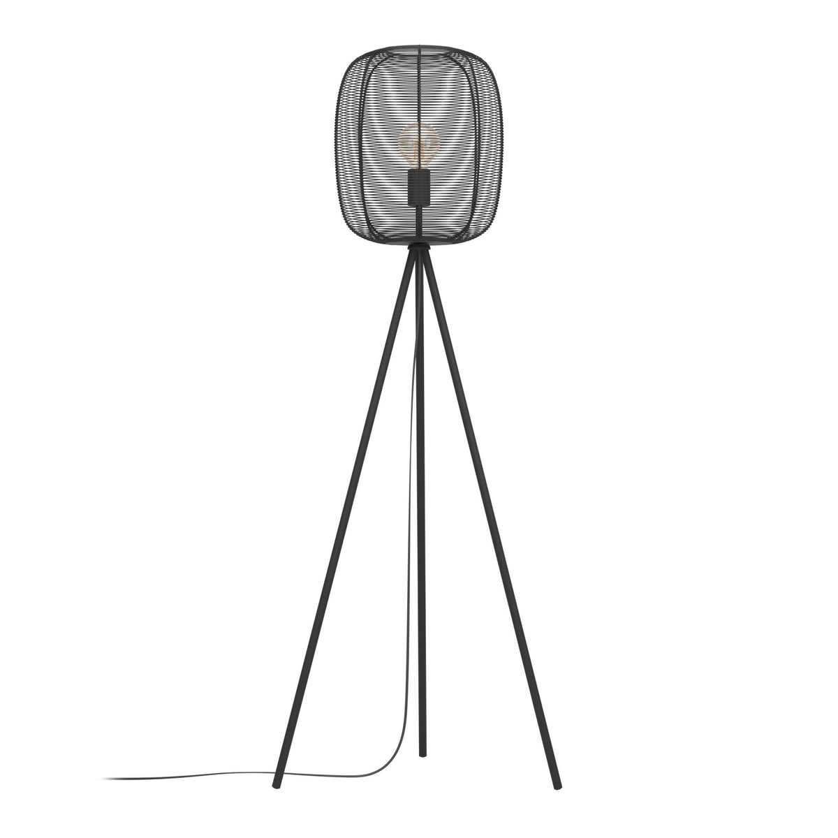 Rinroe Floor Lamp with Black Wired-Caged Design Lampshade
