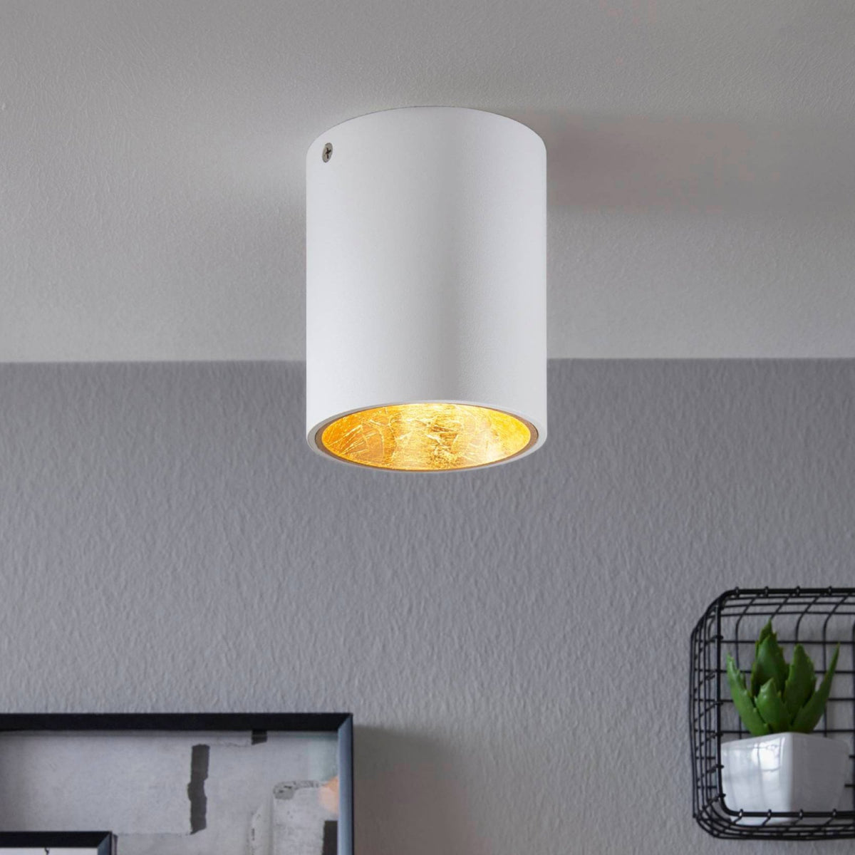 Polasso Round Surface Mounted Ceiling Downlight in White and Gold