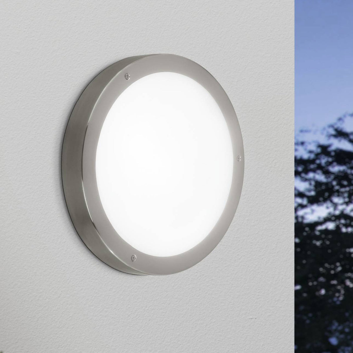Vento 1 LED Outdoor Wall or Ceiling Light in Stainless Steel