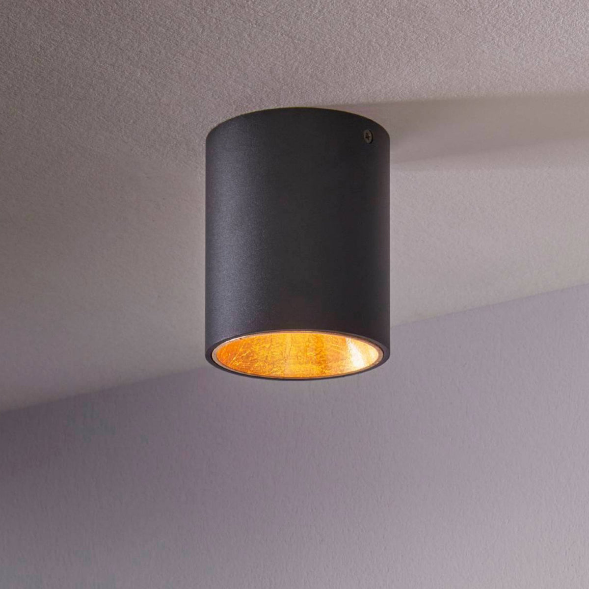 Polasso Round Surface Mounted Ceiling Downlight in Black and Gold