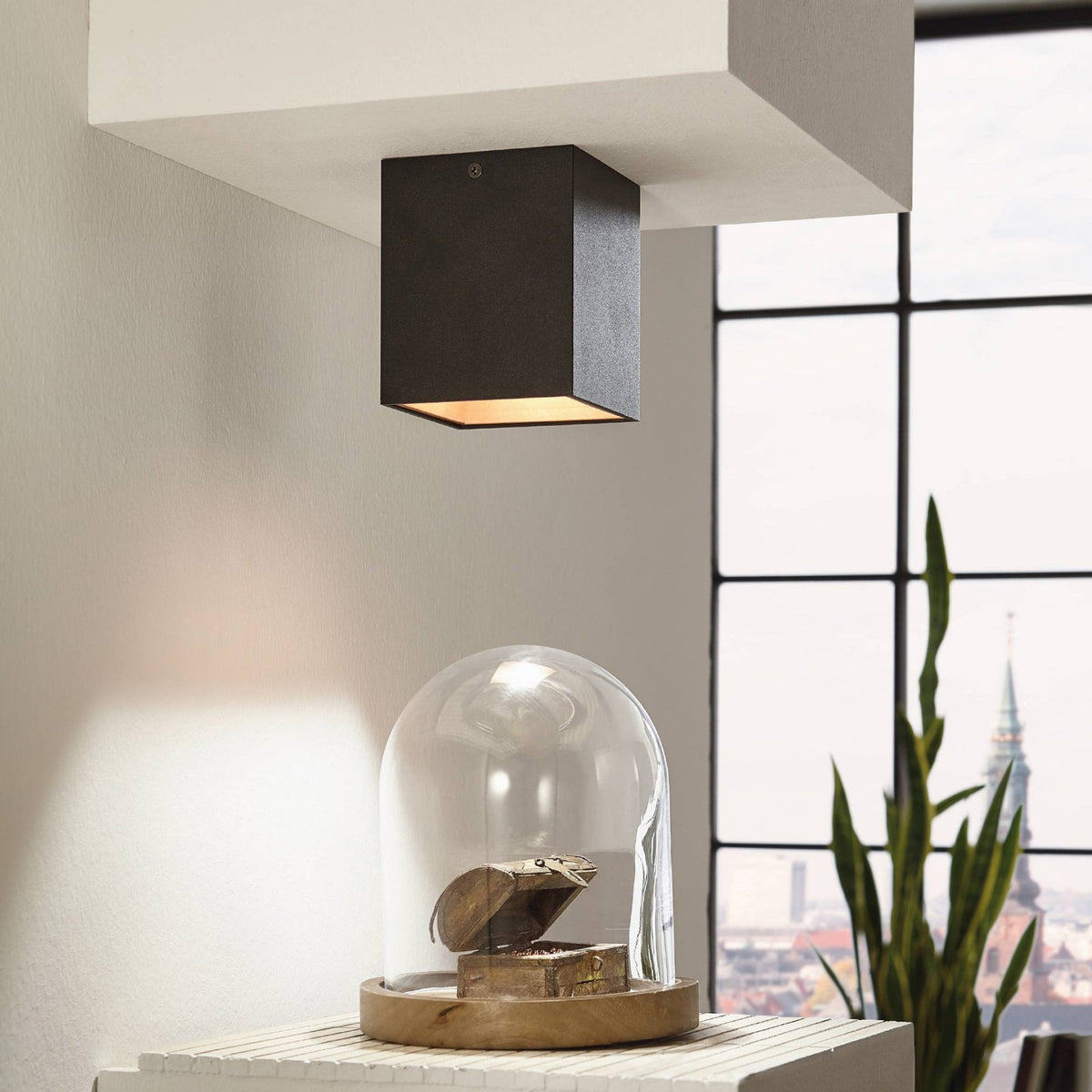 Polasso Square Surface Mounted Ceiling Downlight in Black and Gold