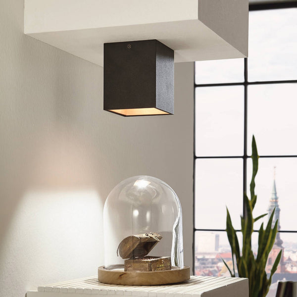 Polasso Square Surface Mounted Ceiling Downlight in Black and Gold