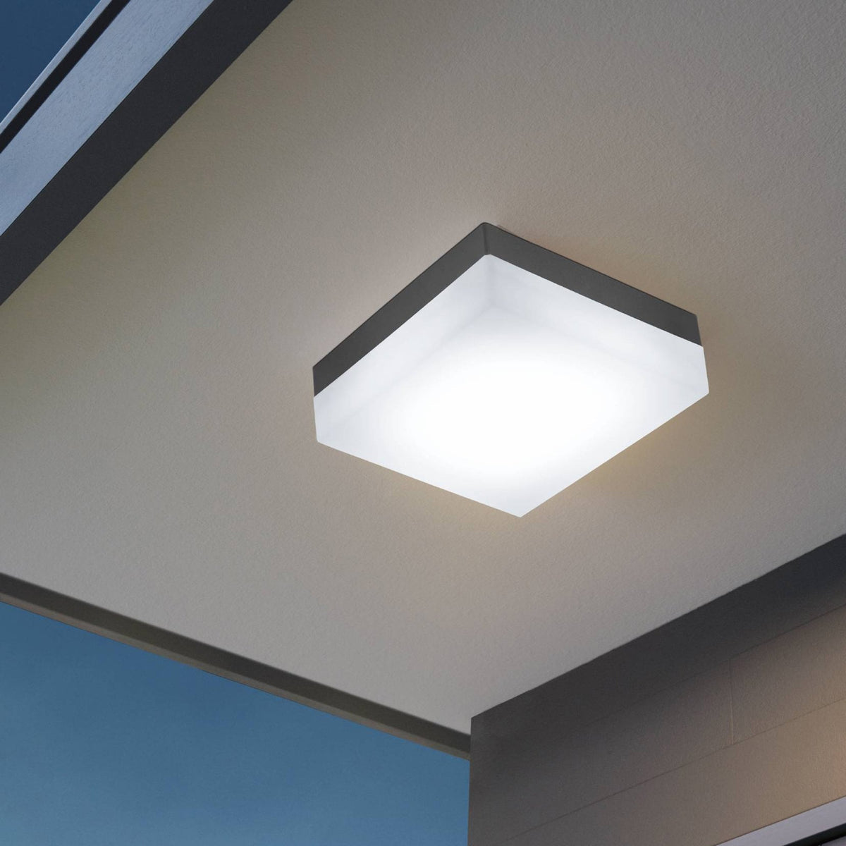 Sonella LED Outdoor Wall or Ceiling Light in Anthracite