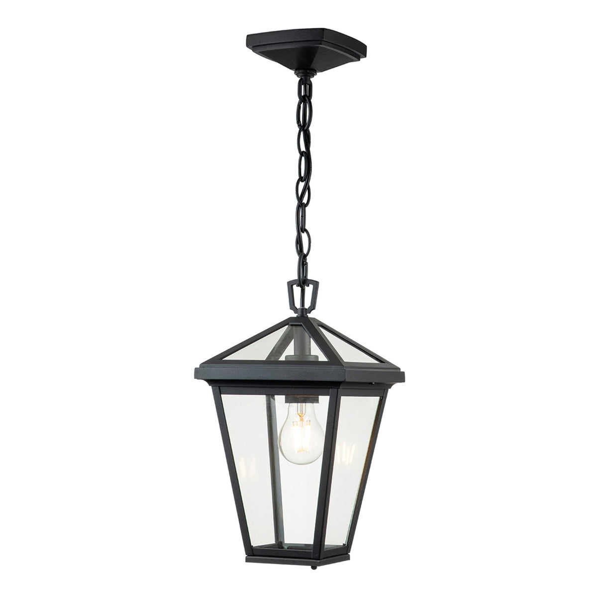 Alford Place Small IP44 Single Lamp Outdoor Pendant in Museum Black