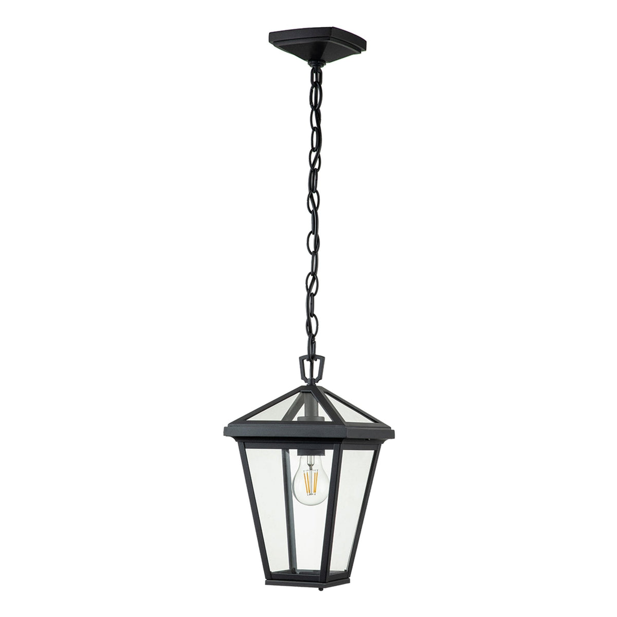 Alford Place Small IP44 Single Lamp Outdoor Pendant in Museum Black