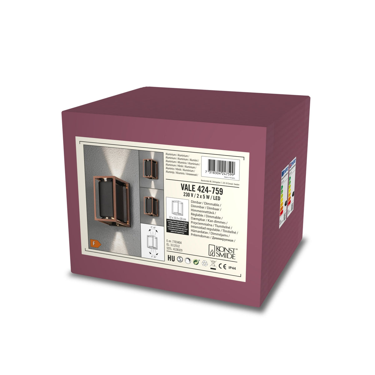 Vale IP44 Twin Adjustable Beam 10w LED Wall Light in Black and Copper