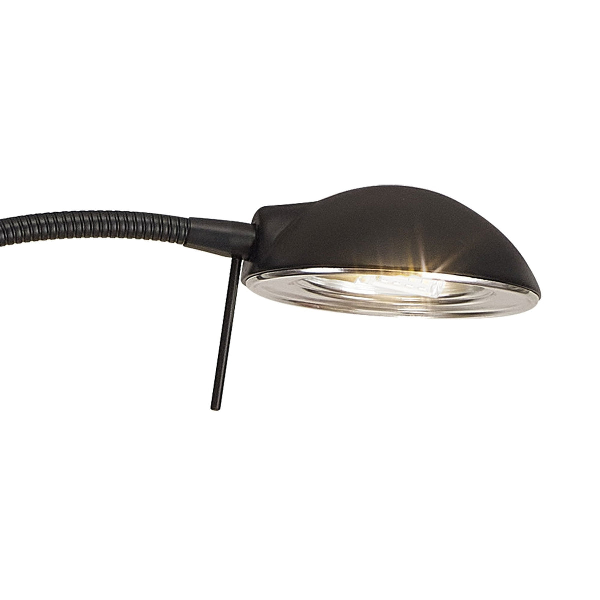 Bamberg Satin Black Adjustable Floor Lamp