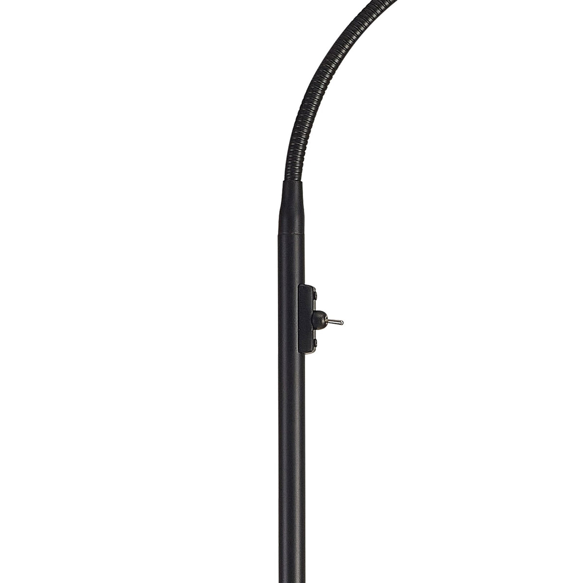 Bamberg Satin Black Adjustable Floor Lamp