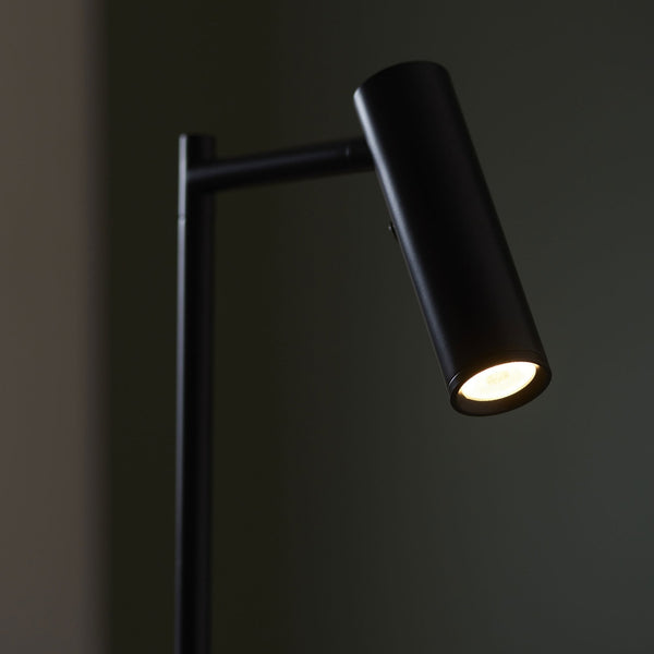 Dedicated Reader LED Task Floor Lamp in Matt Black