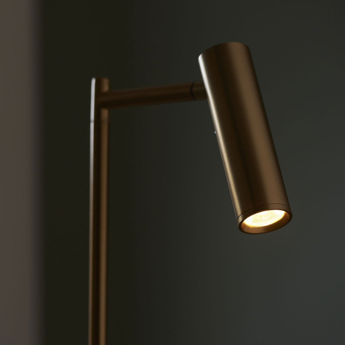Dedicated Reader LED Task Floor Lamp in Warm Brass