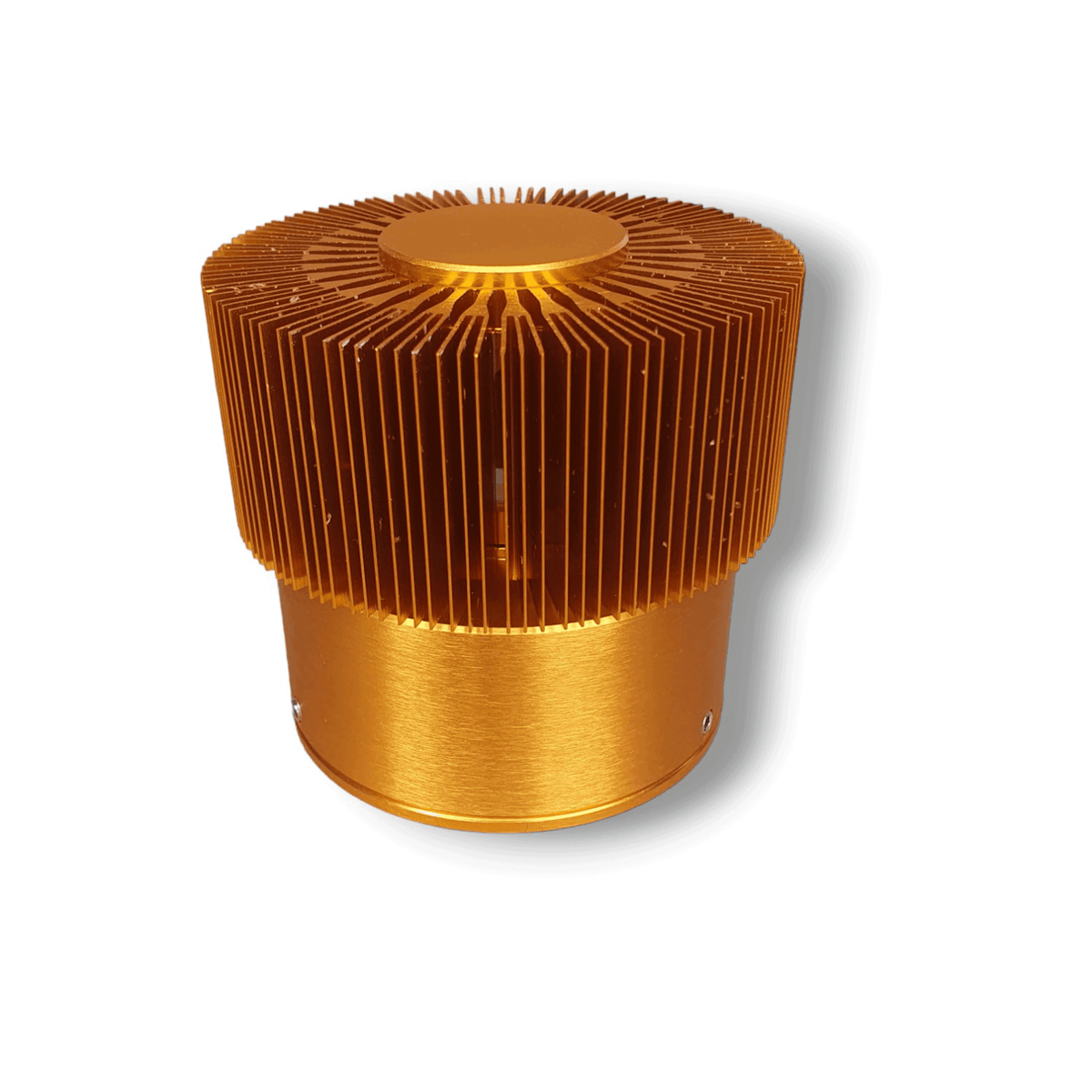 Monza IP54 Outdoor 3W LED Wall Light in Brass Finish