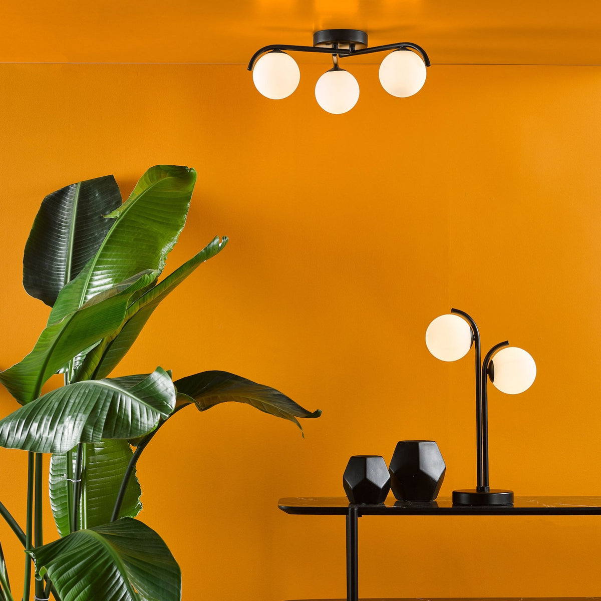 Modern ceiling and table lamps with white globe shades, black bases, and a large green plant against an orange wall.