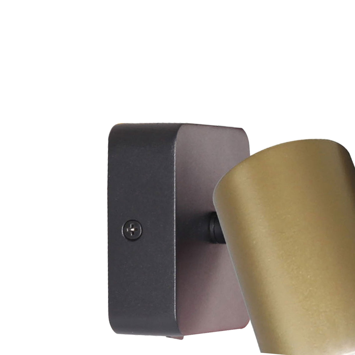 Sal Single Spotlight in Matt Black and Satin Gold