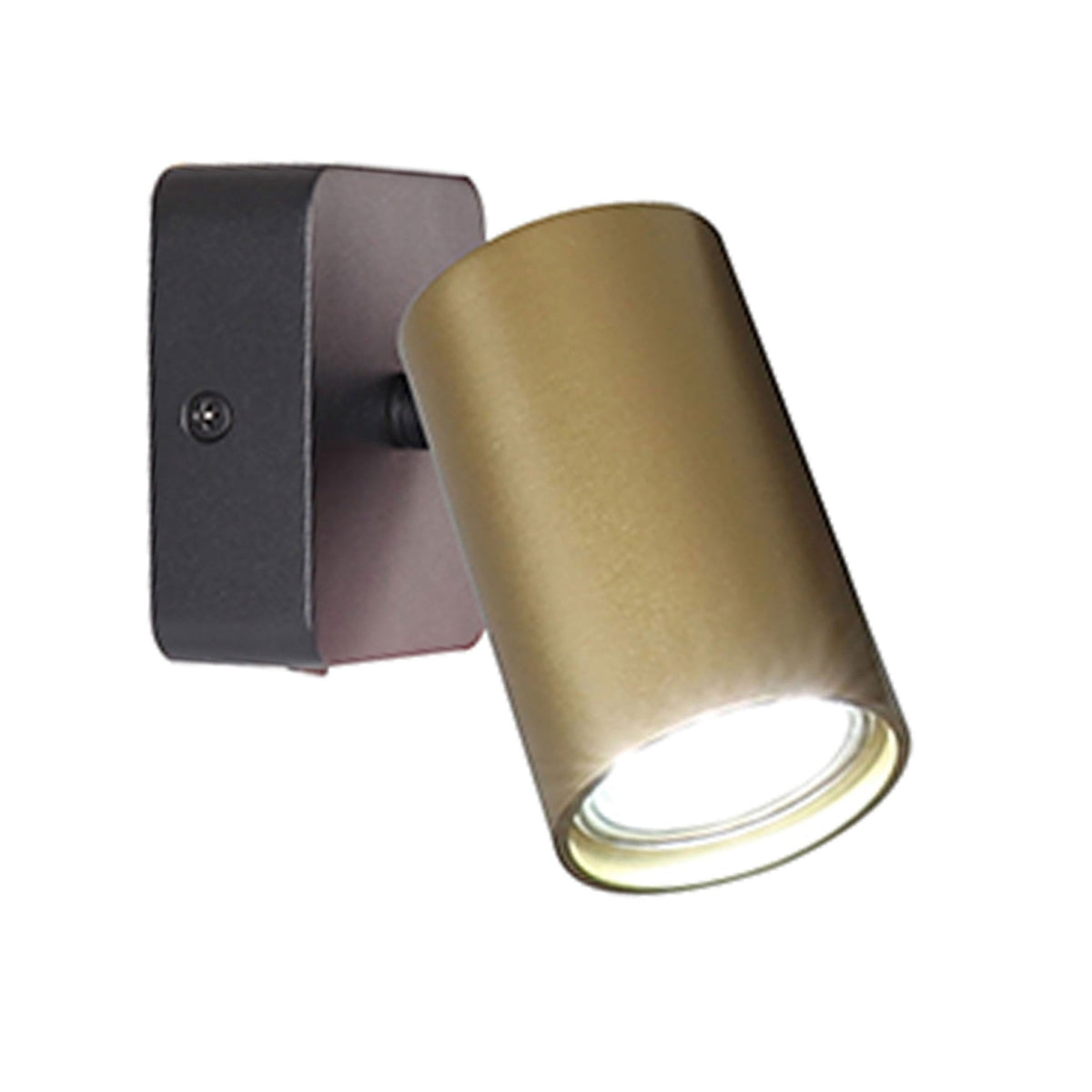 Sal Single Spotlight in Matt Black and Satin Gold