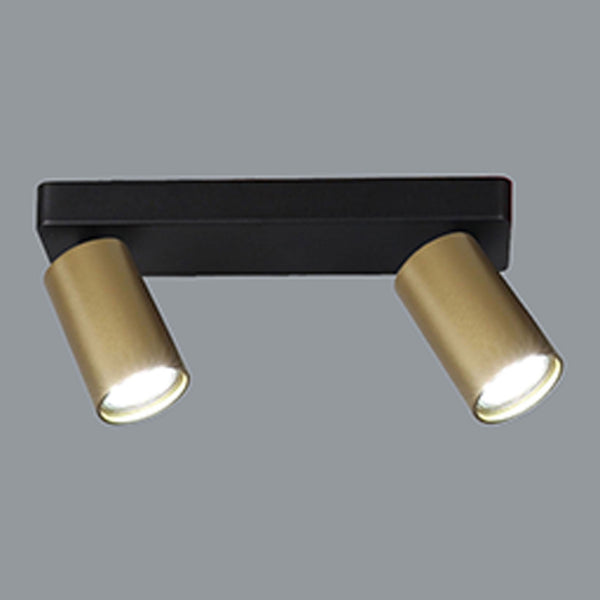 Sal Linear Two Light Bar Spotlight in Matt Black and Satin Gold