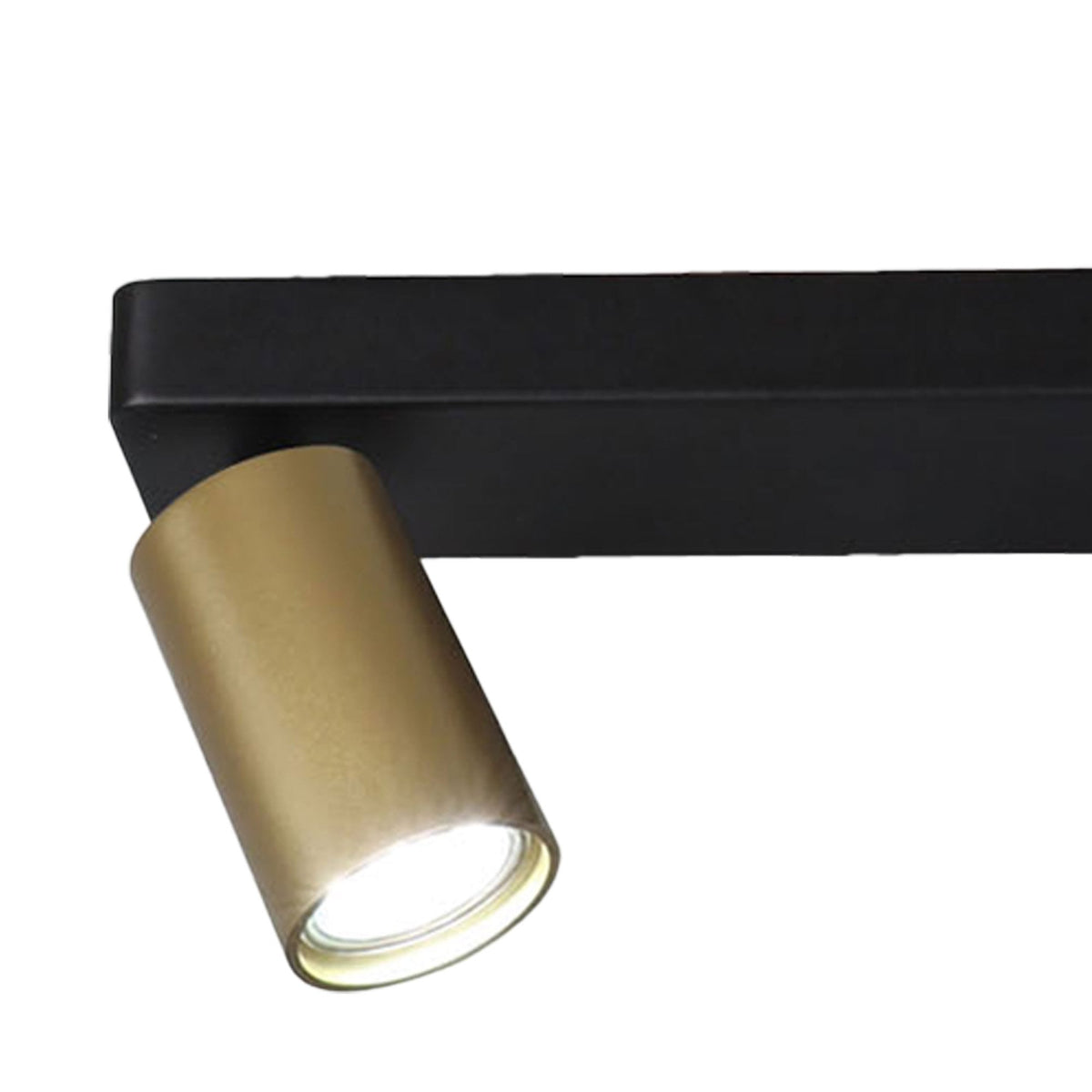 Sal Linear Two Light Bar Spotlight in Matt Black and Satin Gold
