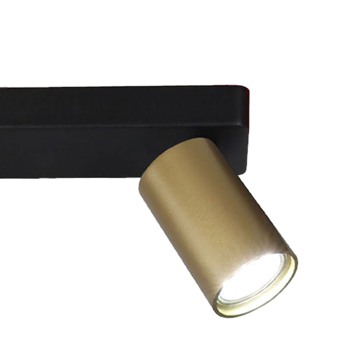 Sal Linear Two Light Bar Spotlight in Matt Black and Satin Gold