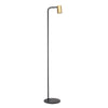 Sal Floor Lamp in Matt Black and Satin Gold