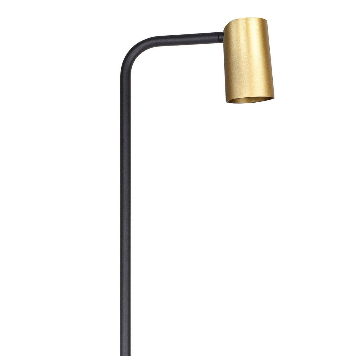 Sal Floor Lamp in Matt Black and Satin Gold