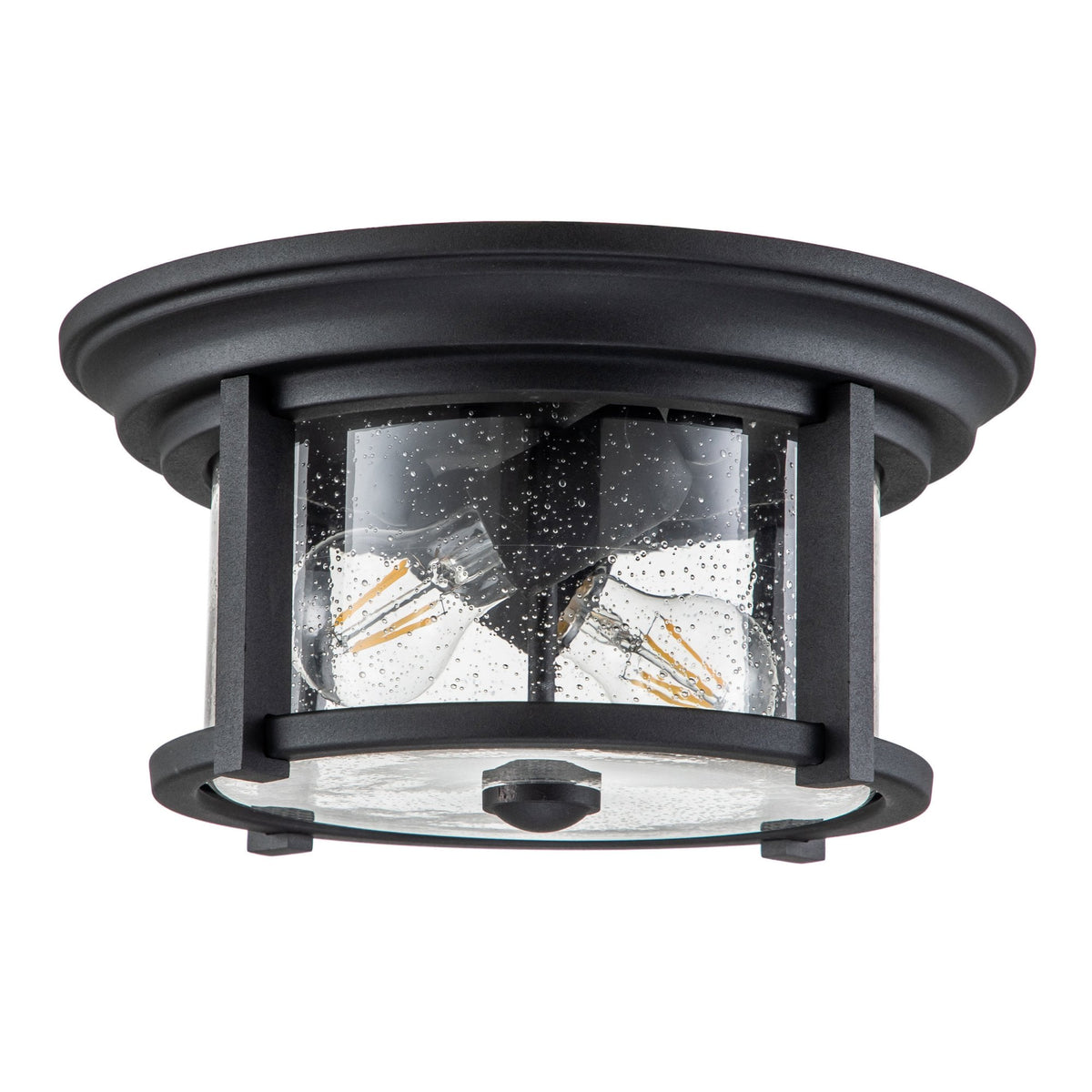 Merrill Flush Mount Light in Black with Clear Seeded Glass
