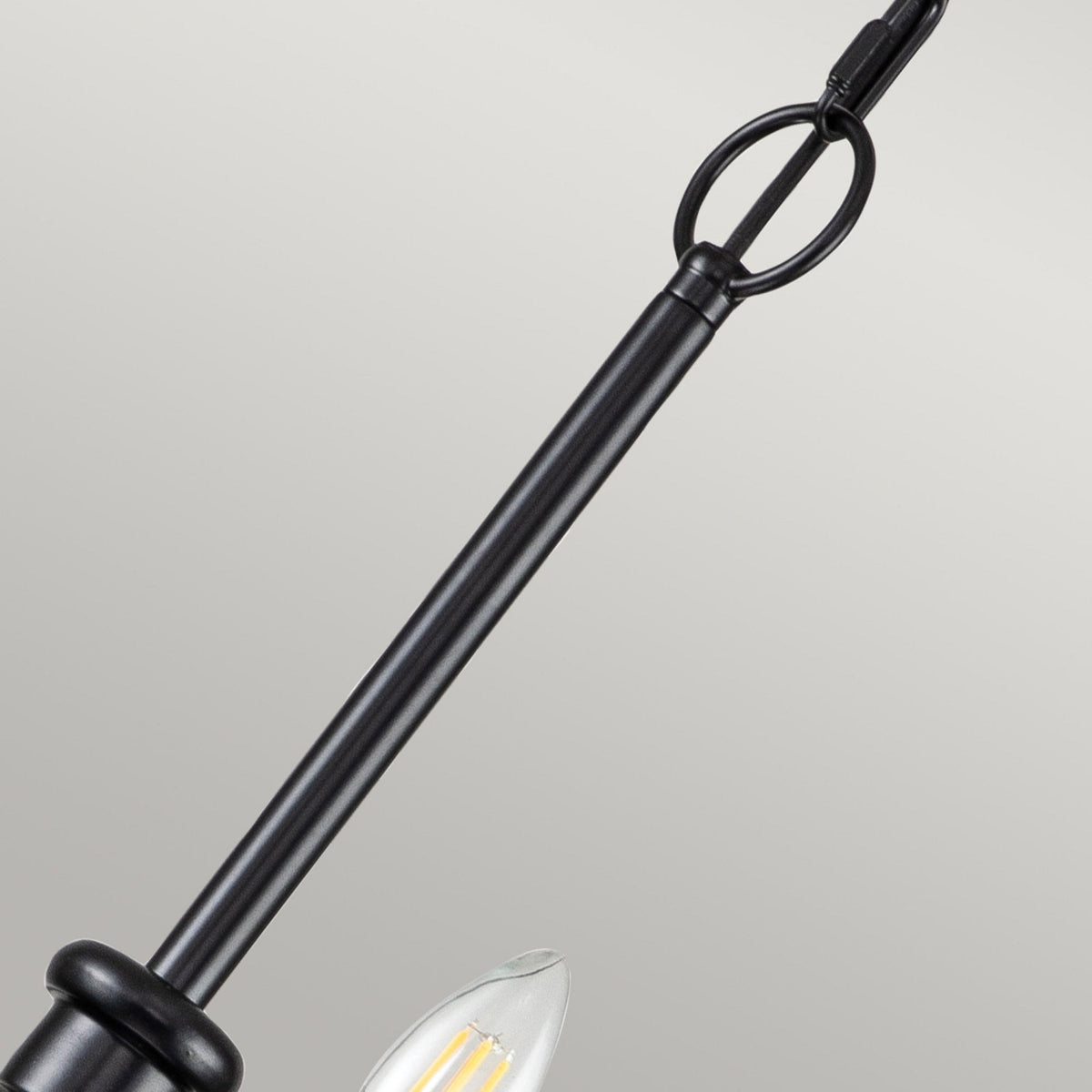 Capitol Hill Twelve Arm Chandelier Pendant in Black