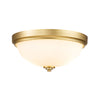 Malibu Flush Mount IP44 Ceiling Light in Brushed Brass & Opal Etched Glass
