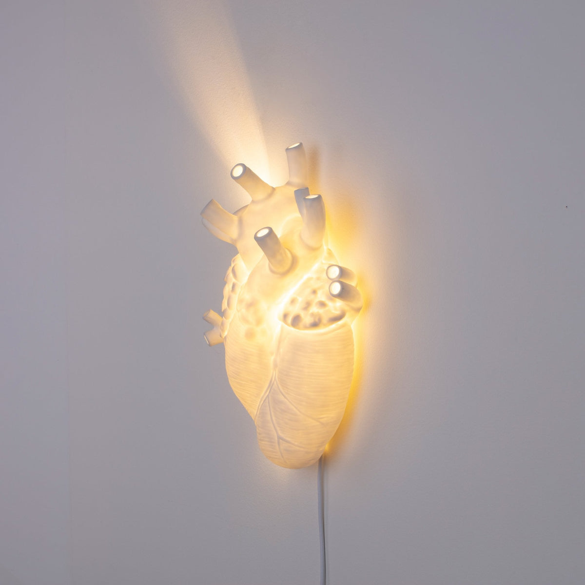 Anatomical heart-shaped lamp glowing warmly on a plain white wall.