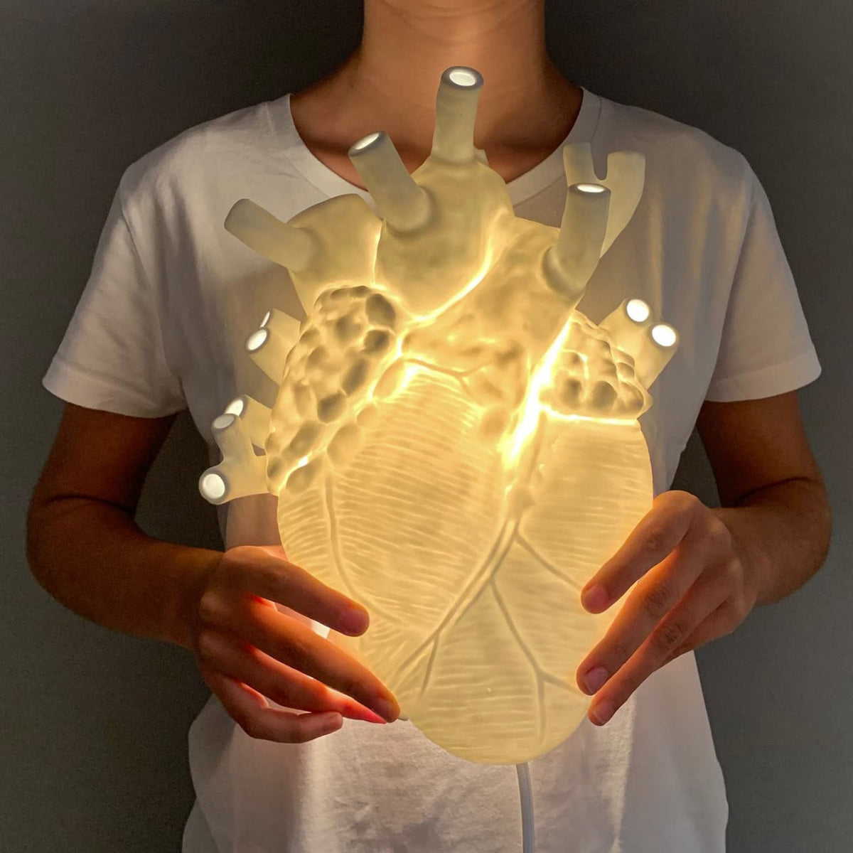 A person holding an illuminated, anatomical heart-shaped lamp in their hands.
