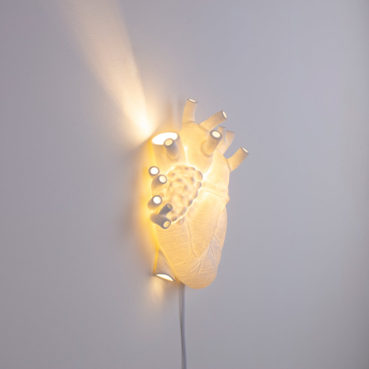 Anatomical heart-shaped lamp shining brightly on a simple white background.
