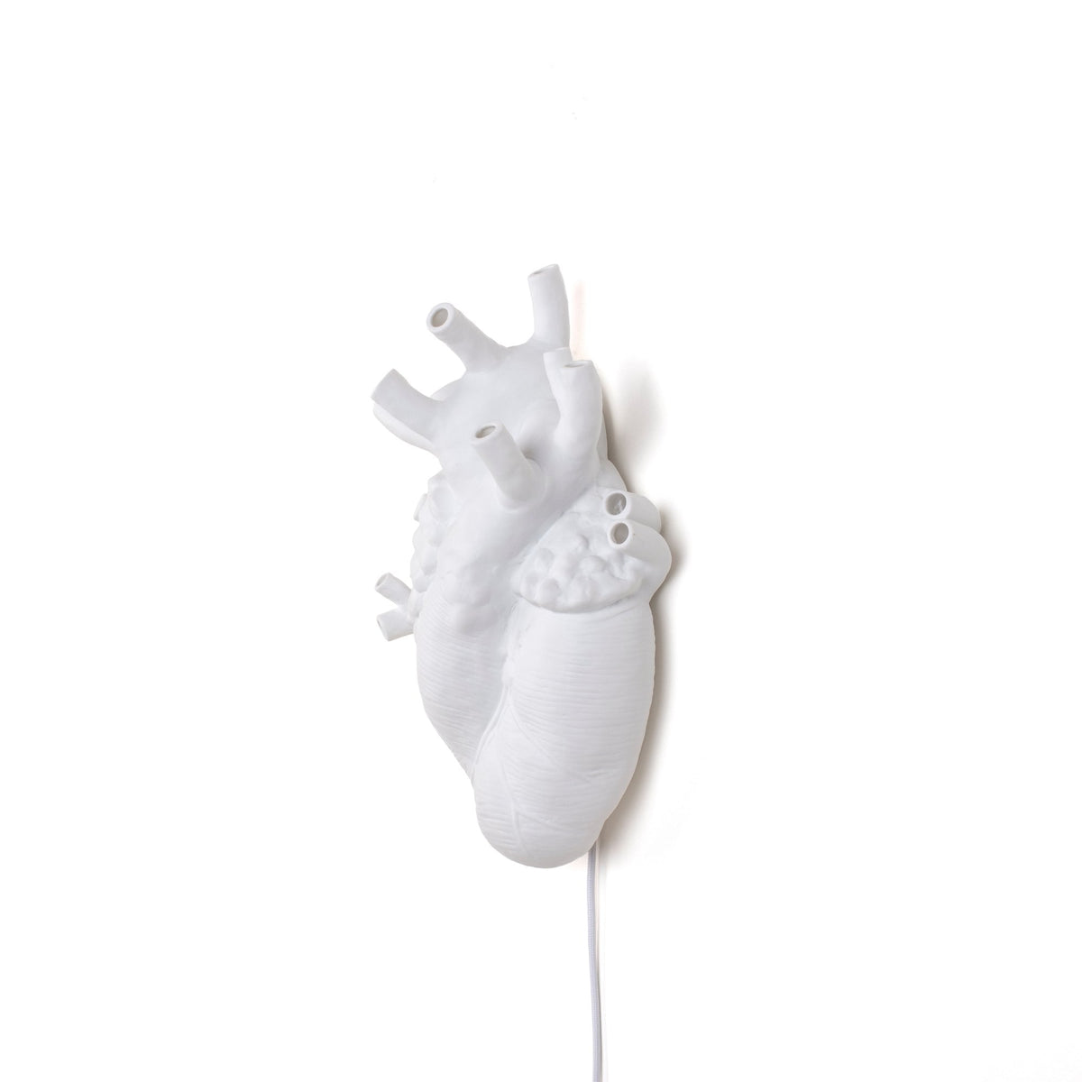 White anatomical heart lamp with a visible wire, against a stark white backdrop.