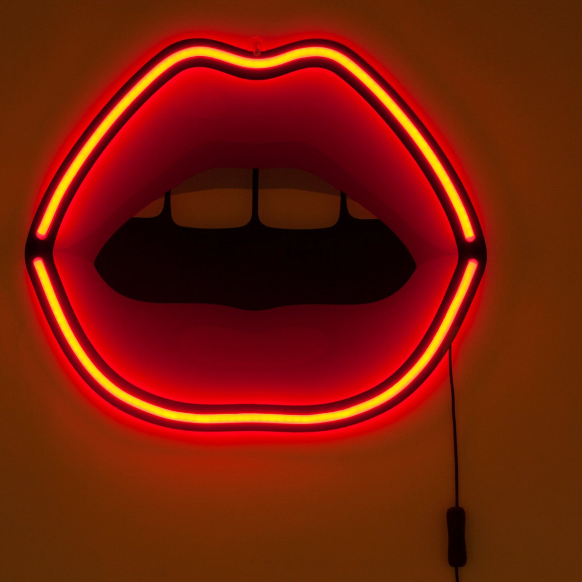 Blow Mouth LED Plugged Wall Lamp