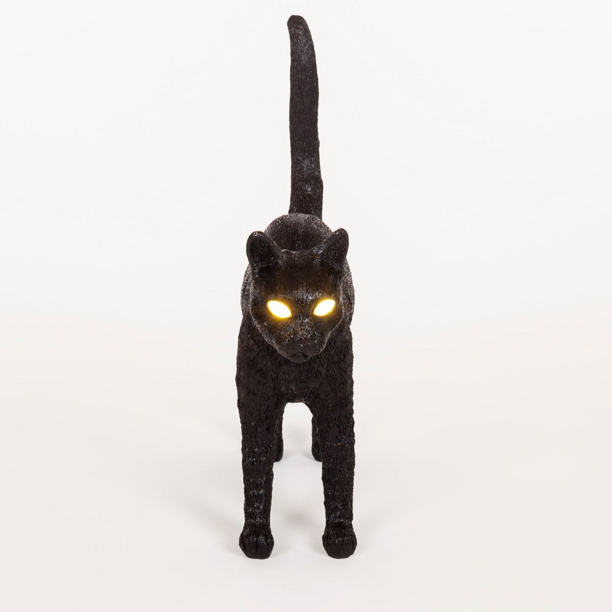 Front view of a black cat with glowing yellow eyes and tail raised straight up.