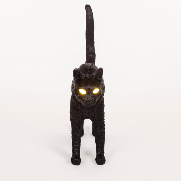 Front view of a black cat with glowing yellow eyes and tail raised straight up.